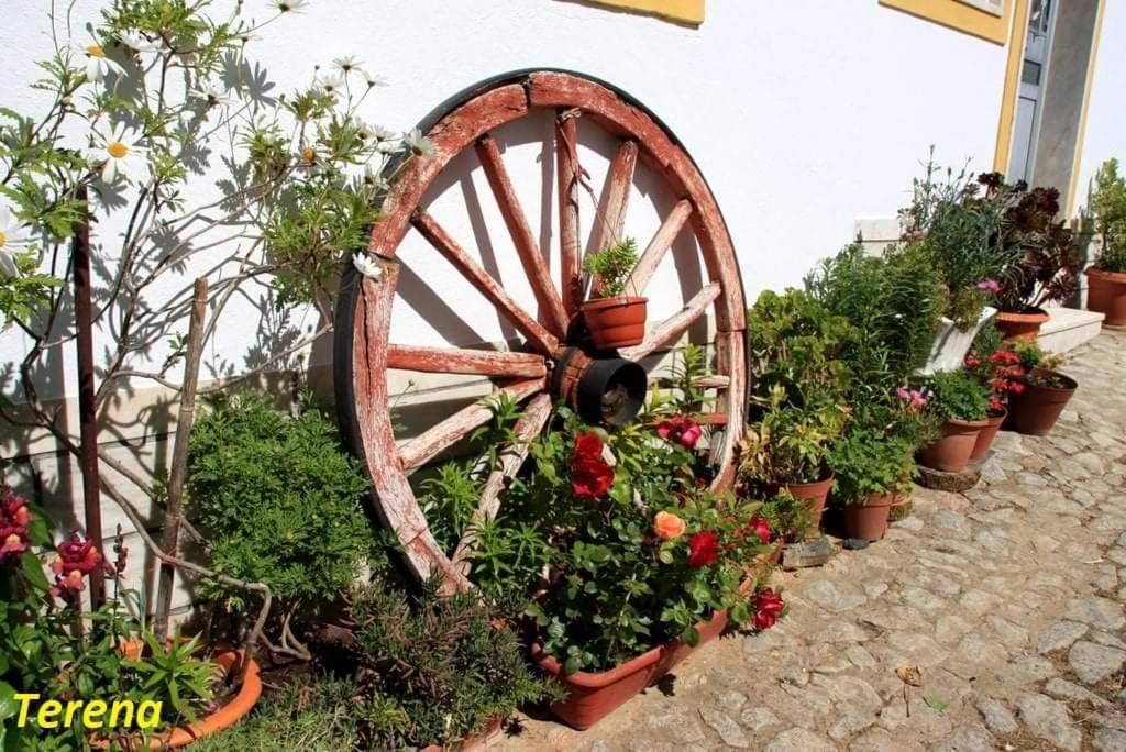 A Casa do Mestre Lau - no coração do Alentejo Terena Exterior foto